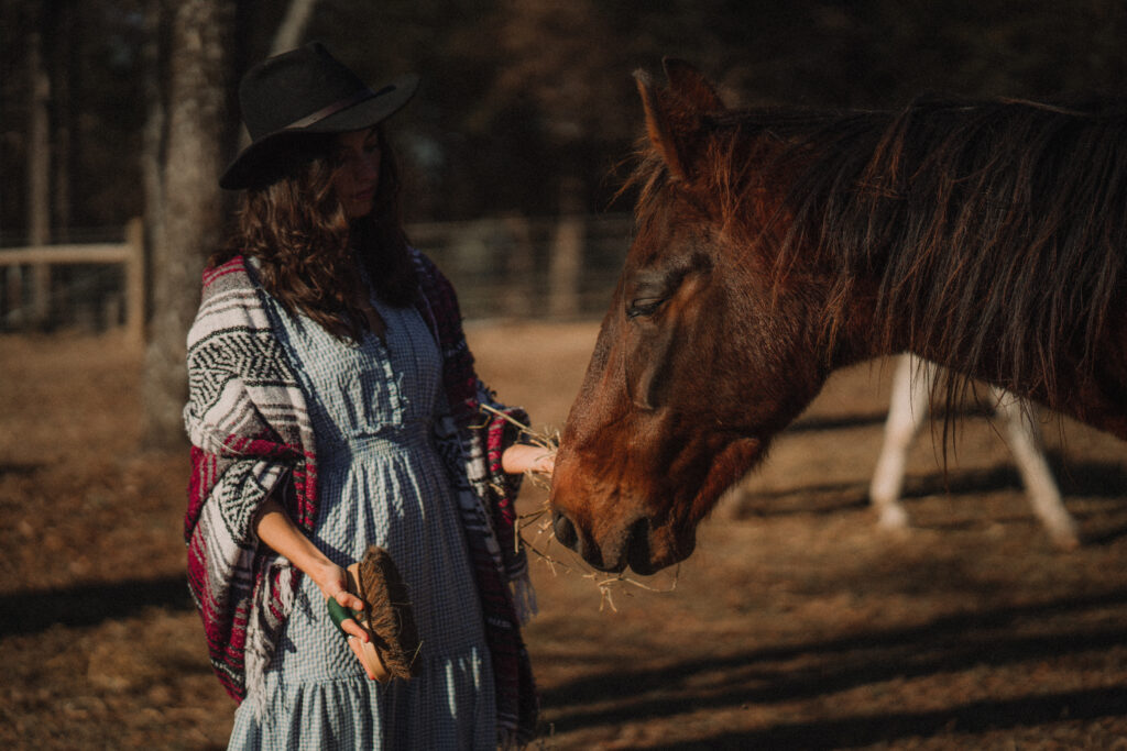 Rescue Horse Elopement