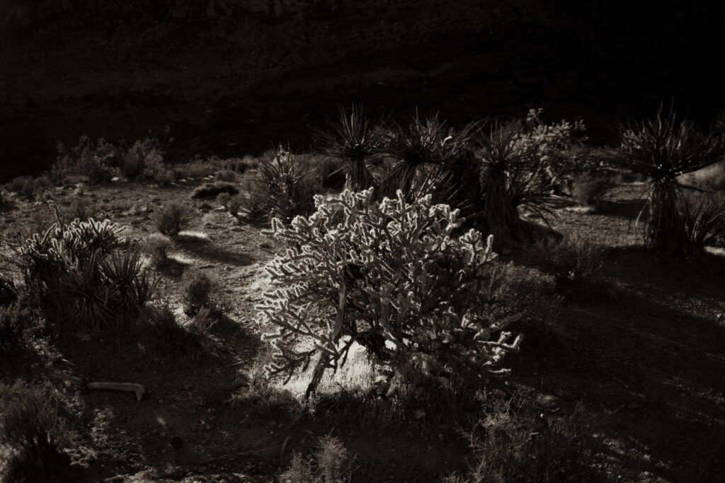 New Mexico Adventure Elopement